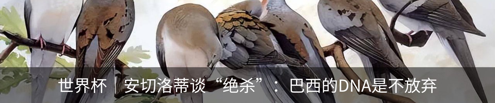 资讯中心