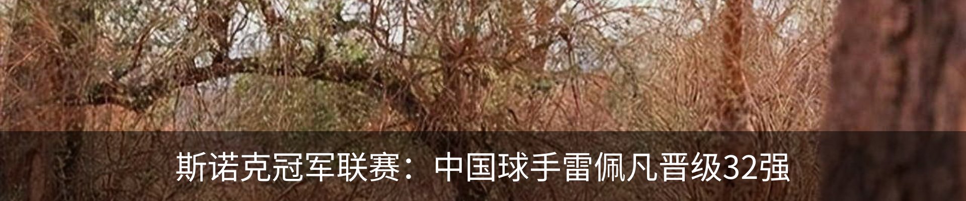 资讯中心